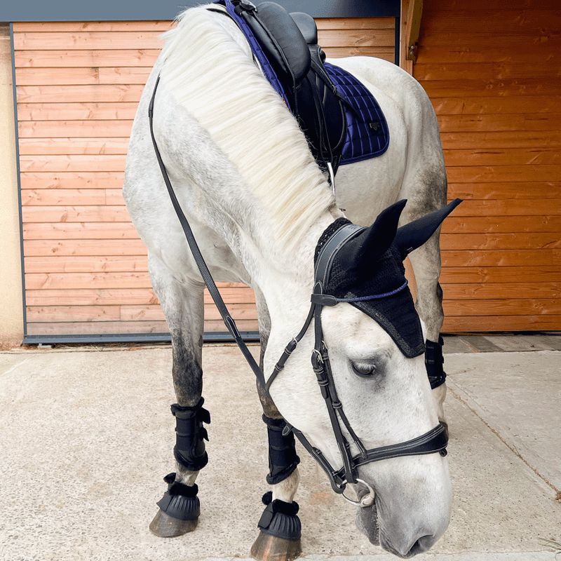 Tapis de selle Class ultra-respirant pour l'équitation cheval obstacle