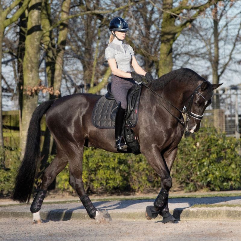 Porte dossard de concours pour équitation LeMieux