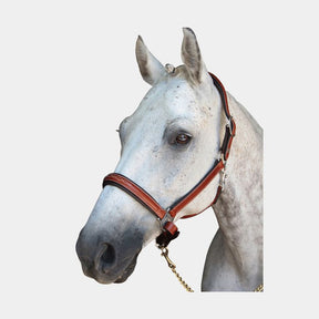 Lexington - Licol cheval Denver | - Ohlala