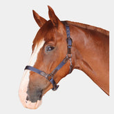 Flags & Cup - Licol cheval nylon et cuir marron / marine | - Ohlala