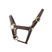 Canter - Veulenhangster presentatie bruin | - Ohlala