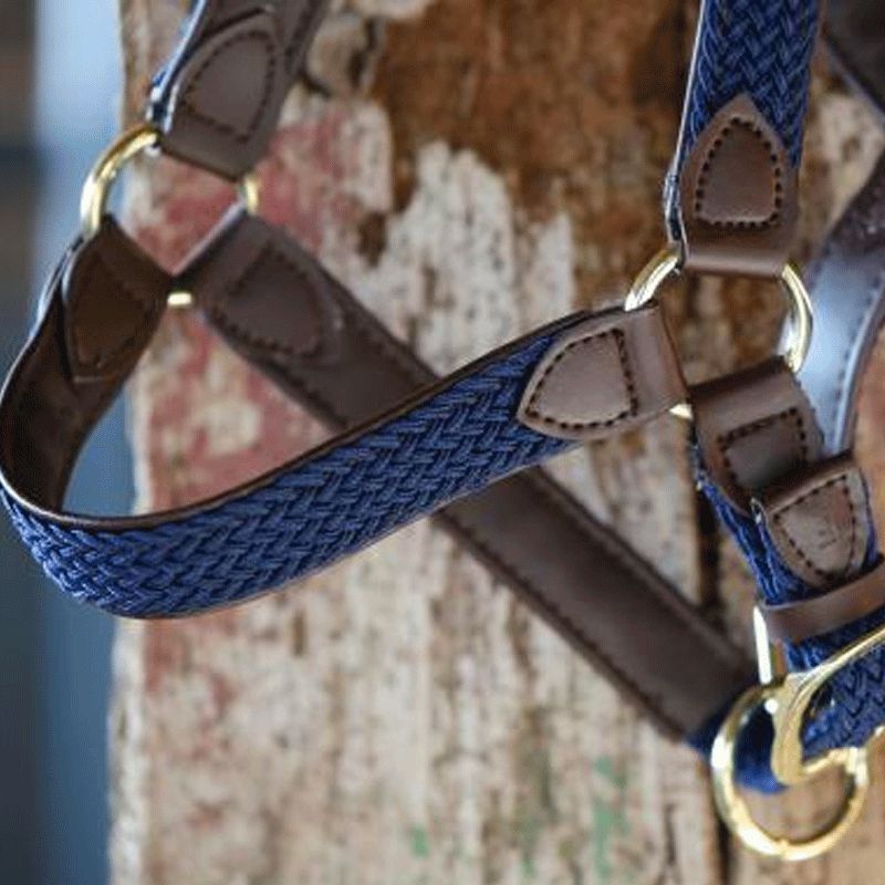 Kentucky Horsewear - Licol cheval nylon tressé marine | - Ohlala