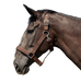 Norton - Licol cheval de trait brun | - Ohlala