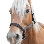Norton - Licol cheval de trait noir | - Ohlala