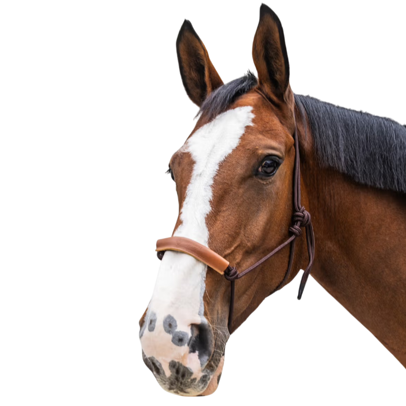 Kentucky Horsewear - Licol éthologique Corde marron | - Ohlala