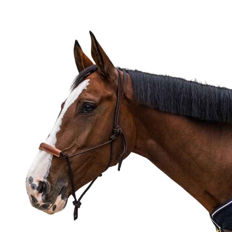 Kentucky Horsewear - Licol éthologique Corde marron | - Ohlala