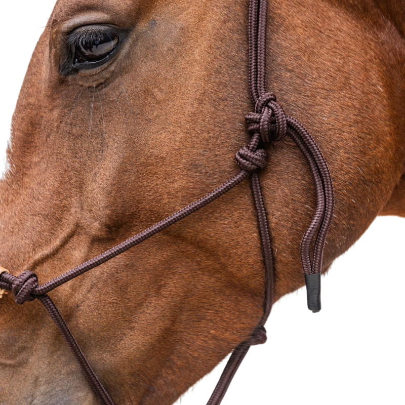 Kentucky Horsewear - Licol éthologique Corde marron | - Ohlala