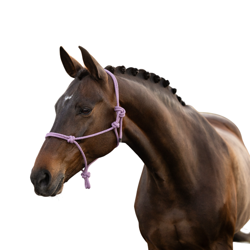 LeMieux - Licol éthologique Rope fondant | - Ohlala