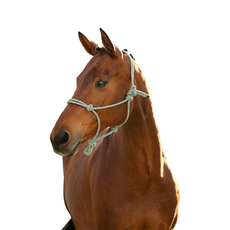 LeMieux - Licol éthologique Rope macaron | - Ohlala