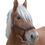 Norton - Licol cheval de trait "PRO" brun | - Ohlala