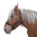 Norton - Licol cheval de trait "PRO" noir | - Ohlala