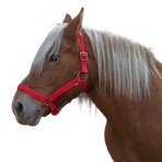 Norton - Licol cheval de trait "PRO" rouge | - Ohlala