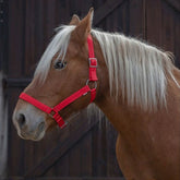 Norton - Licol cheval de trait "PRO" rouge | - Ohlala