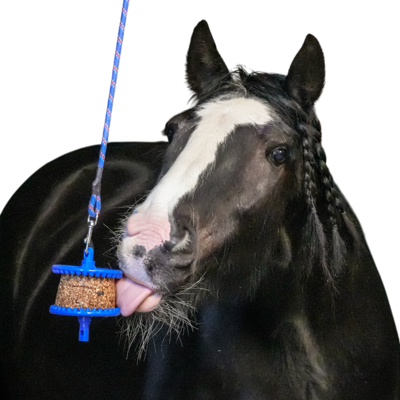 Likit - Friandise pour chevaux pierre granola allégée pomme
