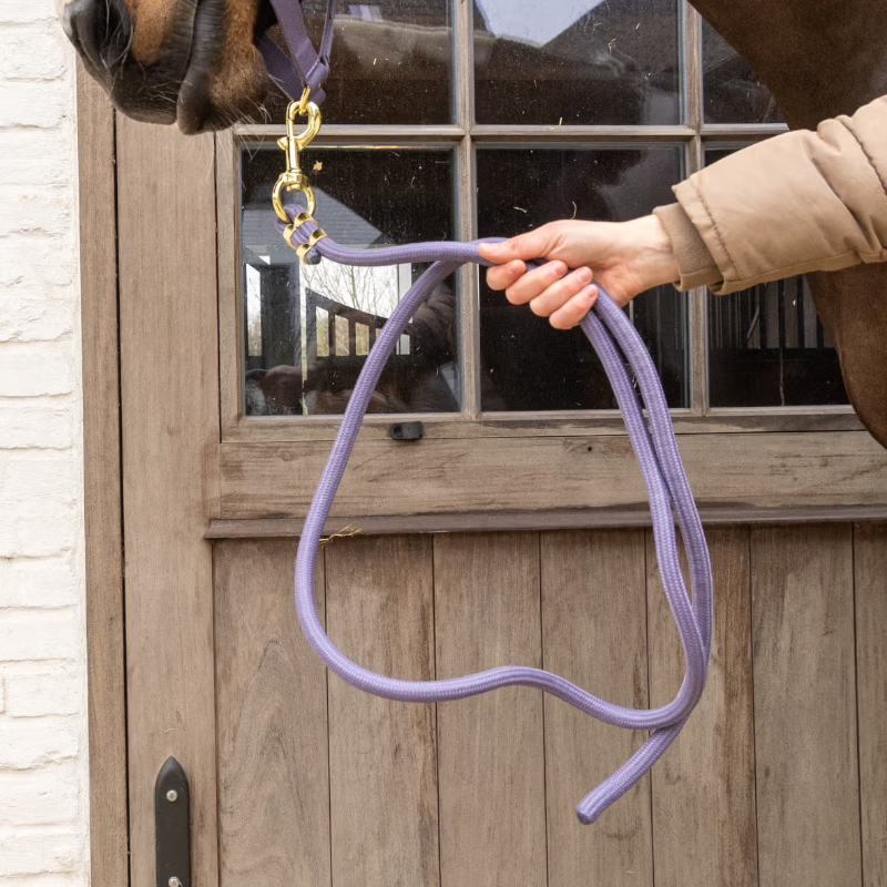 Kentucky Horsewear - Longe Rope Basic violet 2m | - Ohlala