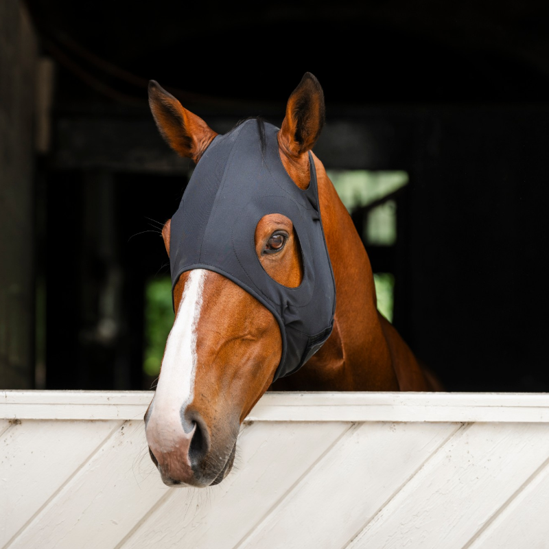 Horseware - Anti-stressmasker Iconic zwart | - Ohlala