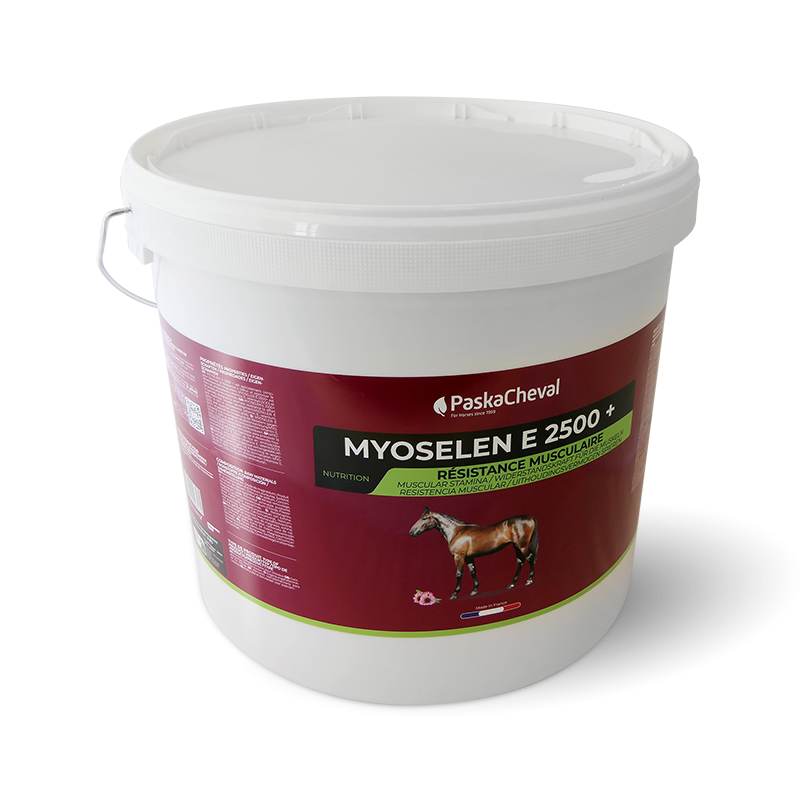 Paskacheval - Complément alimentaire musculaire Myoselen E 2500+