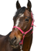 Norton - Grooming Halster oud roze | - Ohlala