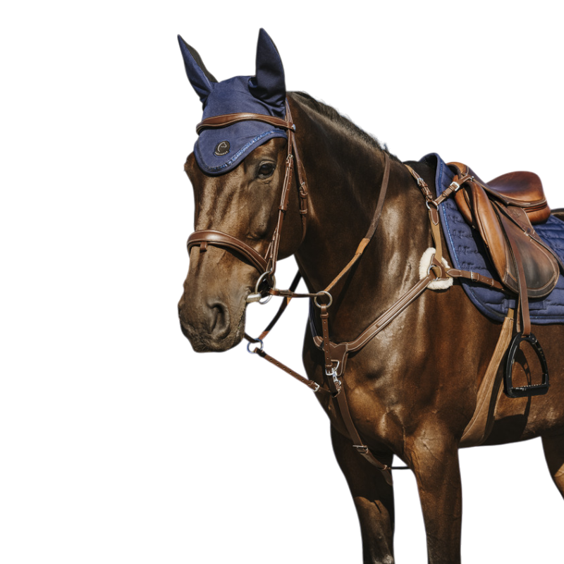 Norton - Collier de chasse 5 points havane