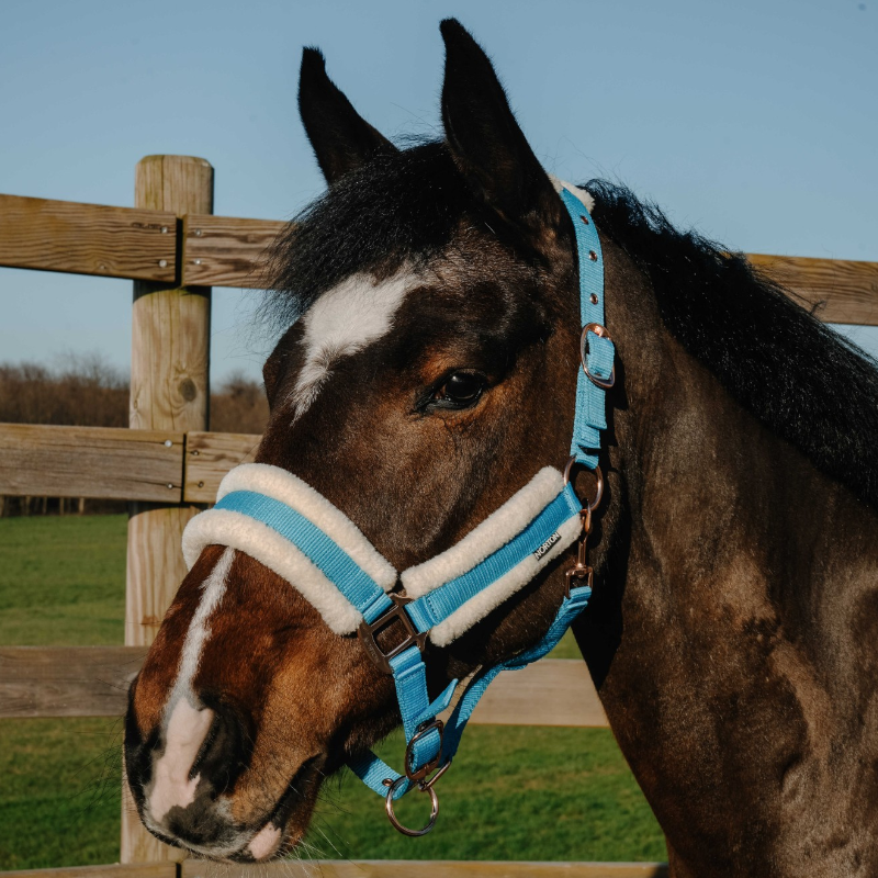 Norton - Comfy halster blauw