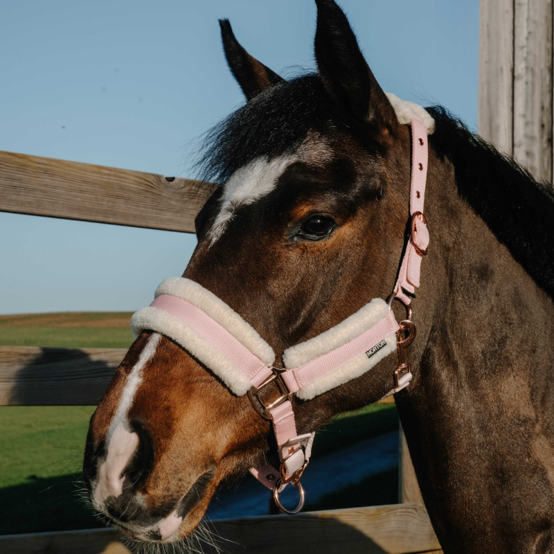 Norton - Comfy halster roze