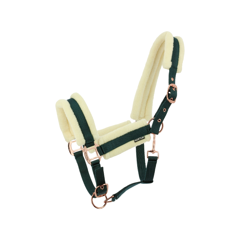 Norton - Licol Comfy vert foncé