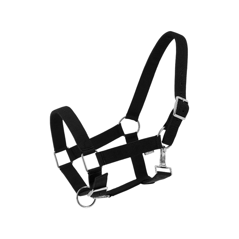 Norton - Licol Extra noir