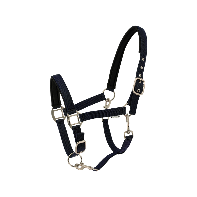 Norton - Licol Nacre marine