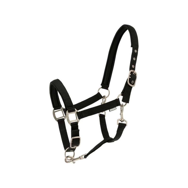 Norton - Licol Nacre noir