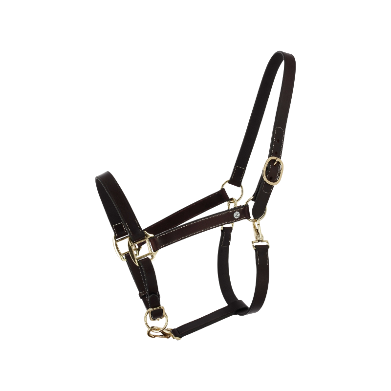 Norton - Licol en cuir grooming Derby havane