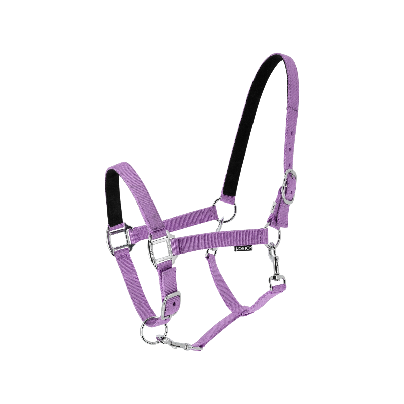 Norton - Licol en nylon Dream lilas