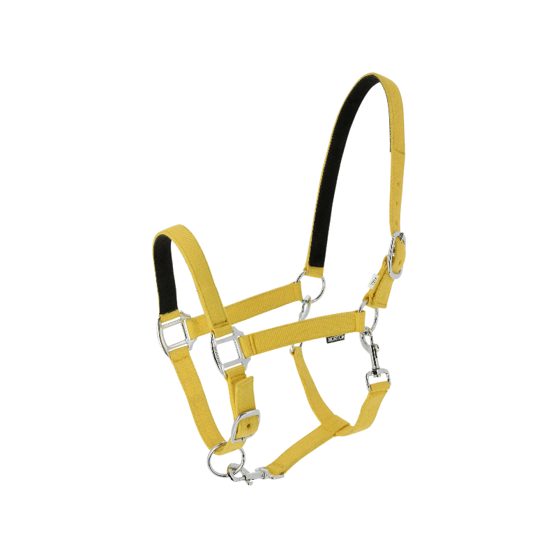 Norton - Licol en nylon Dream miel