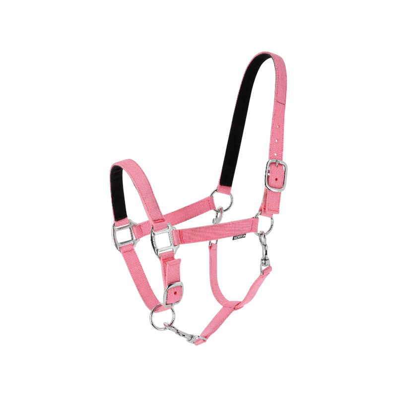 Norton - Licol en nylon Dream rose