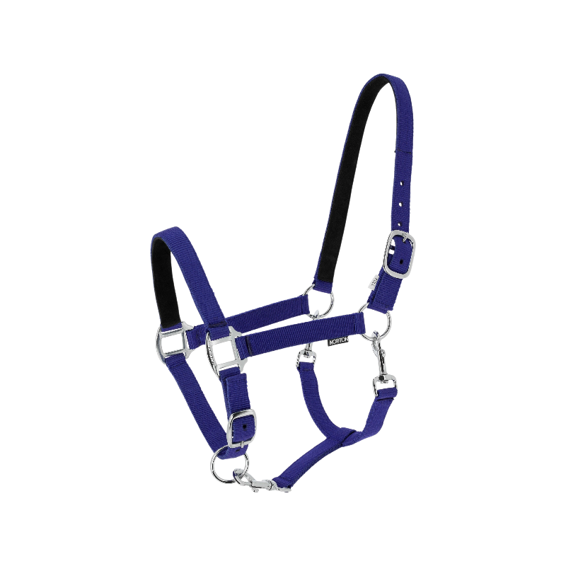 Norton - Licol en nylon Dream bleu roi