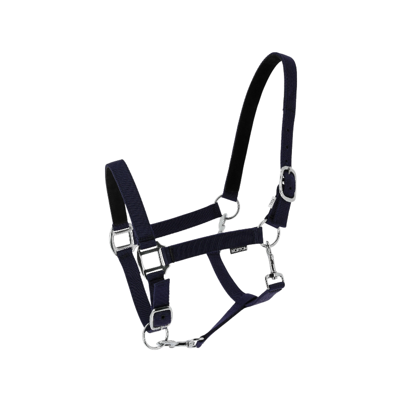 Norton - Licol en nylon Dream marine