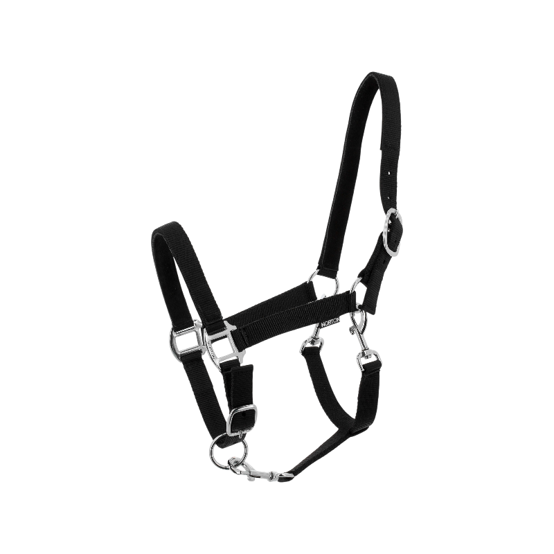 Norton - Licol en nylon Dream noir