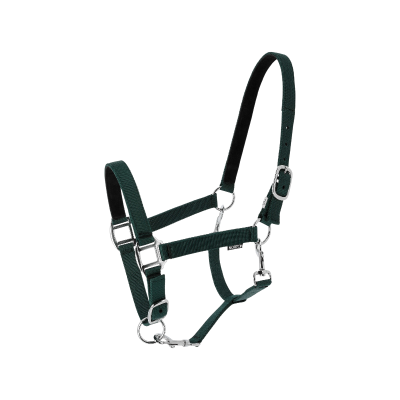 Norton - Licol en nylon Dream vert foncé