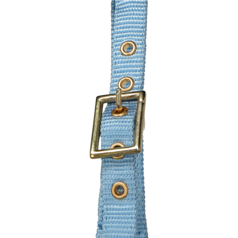 Norton - Licol réglable mini bleu ciel