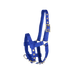 Norton - Licol réglable mini bleu roi