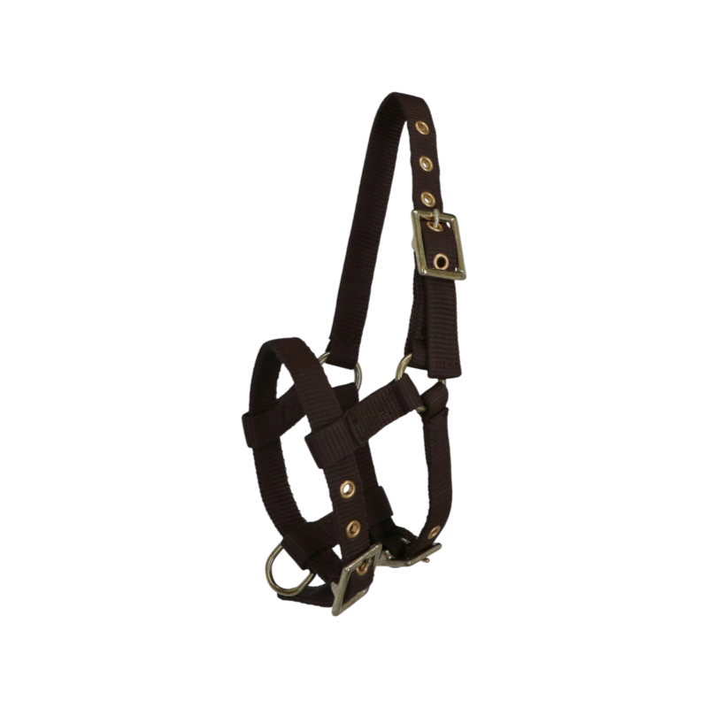 Norton - Licol réglable mini brun