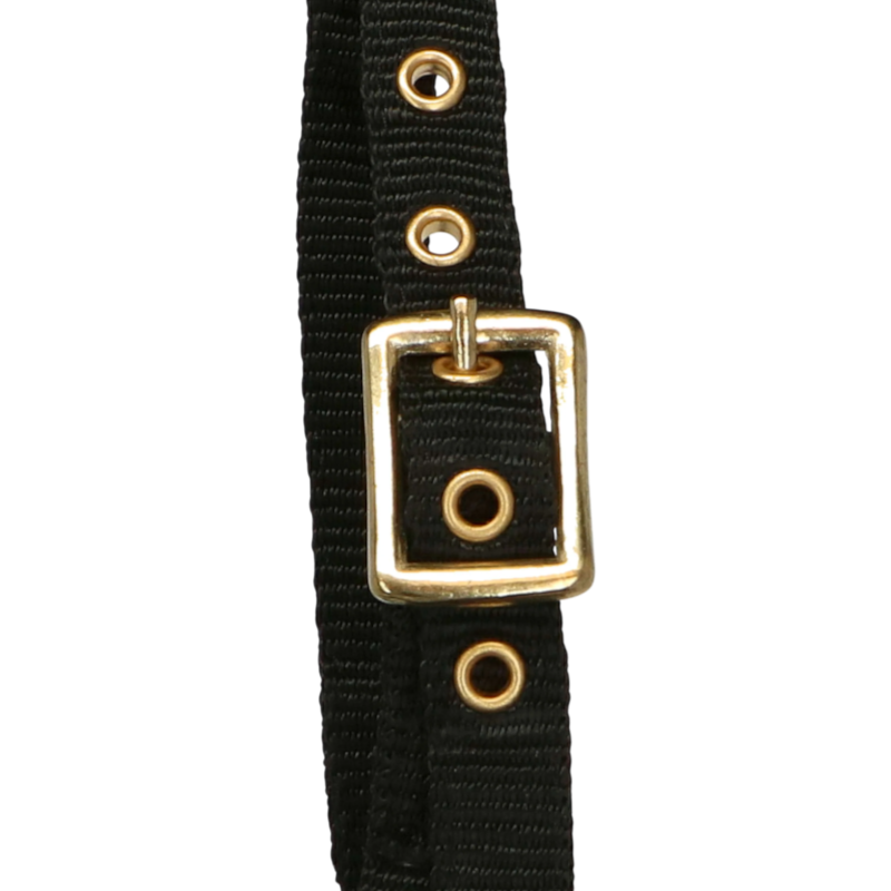 Norton - Licol réglable mini noir