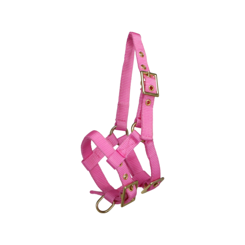 Norton - Licol réglable mini rose
