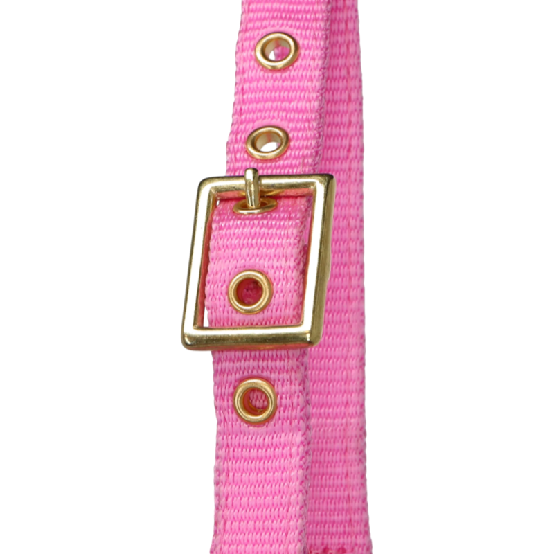 Norton - Licol réglable mini rose