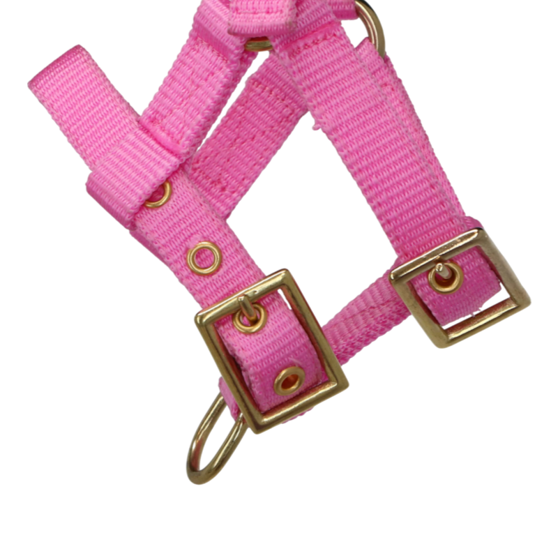 Norton - Licol réglable mini rose