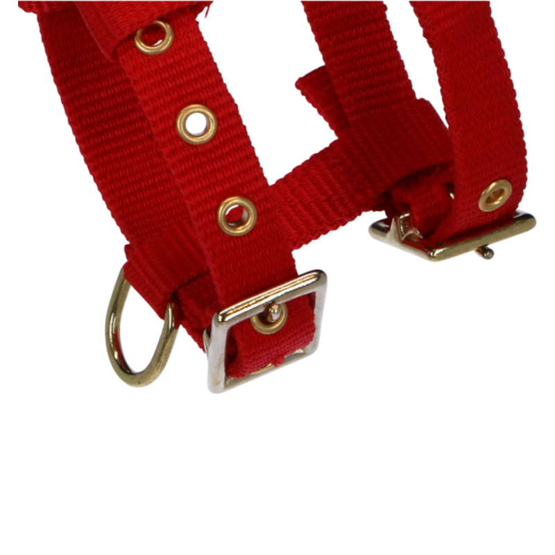 Norton - Licol réglable mini rouge