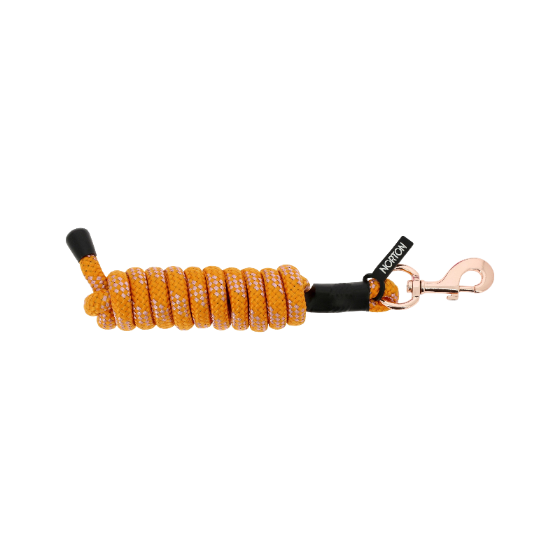 Norton - Longe d'attache Lolly orange