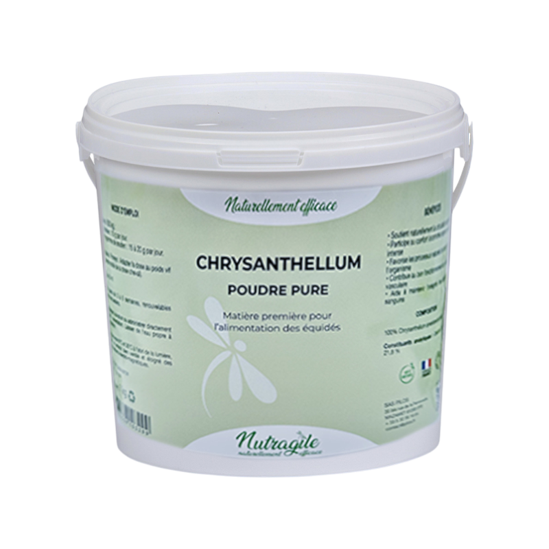 Nutragile - Complément alimentaire circulation sanguine Chrysanthellum
