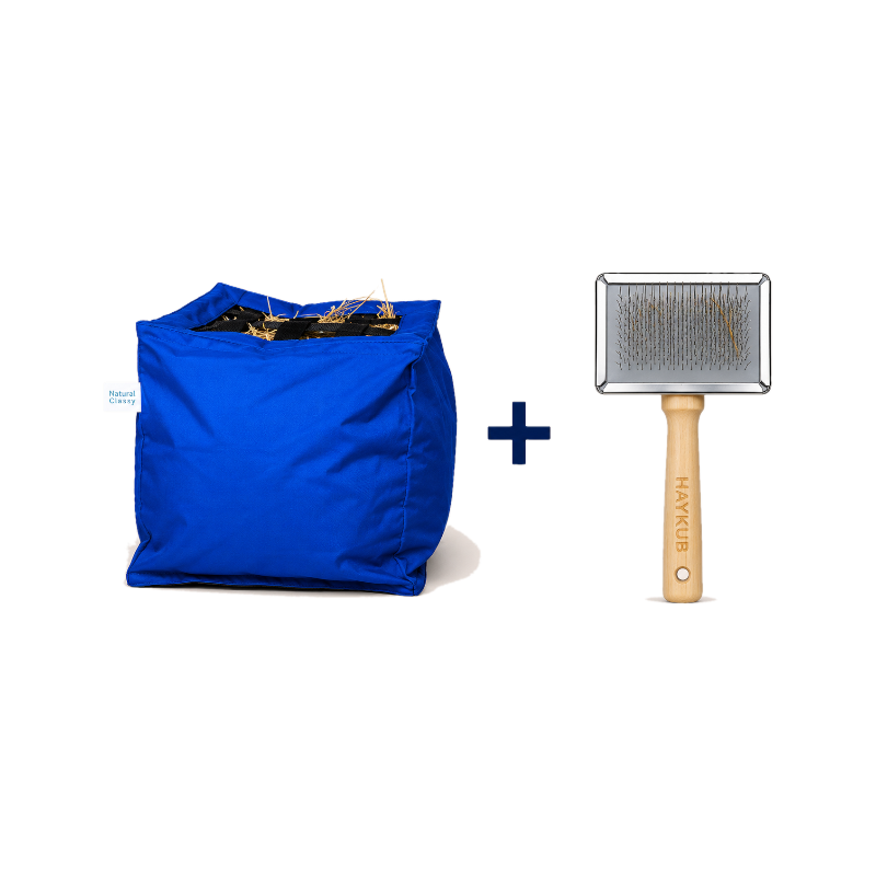 Natural' Innov - Pack Natural'Kub + Natural'Brush bleu roi