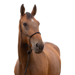 Norton - Zacht ethologisch ponyhalster zwart | - Ohlala