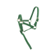Norton - Licol foal + longe vert foncé | - Ohlala